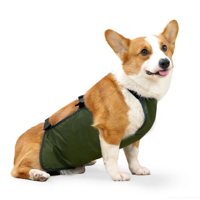 Нагрудник послеоперационный для собак весом 10-16 кг, размер L (ОГ 45, ОТ 45 см), зеленый от компании Интернет-гипермаркет «MALL24» - фото 1