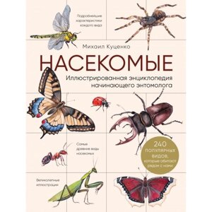 Насекомые. Иллюстрированная энциклопедия начинающего энтомолога. 240 популярных видов, которые обитают рядом с нами.