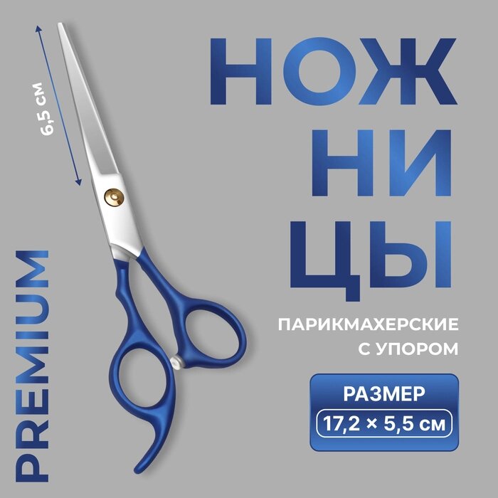 Ножницы парикмахерские с упором "Premium", лезвие — 6,5 см, цвет серебристый/синий от компании Интернет-гипермаркет «MALL24» - фото 1