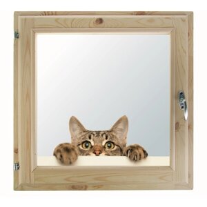Окно, 6060см, "Кошак", однокамерный стеклопакет, с уплотнителем