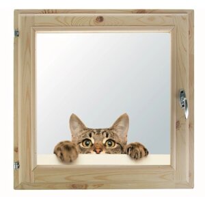 Окно, 7070см, "Кошак", однокамерный стеклопакет