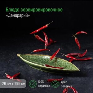 Блюдо сервировочное "Дендрарий", 2610,51,5 см