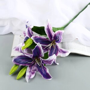 Цветы искусственные "Лилия галант" d-13 см 66 см, фиолетовый