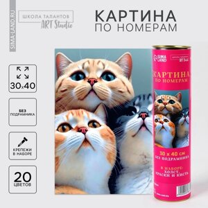 Картина по номерам в тубусе "Котята", 30 х 40 см