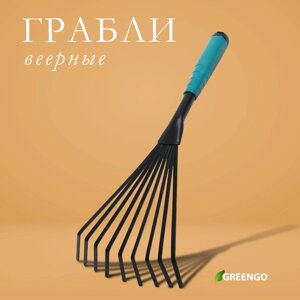 Грабли веерные, пластинчатые, длина 43 см, 9 зубцов, металл, пластиковая ручка