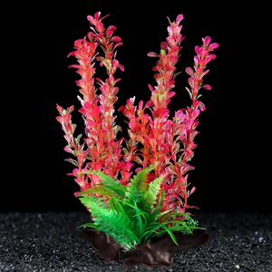 Растение искусственное аквариумное на платформе в виде коряги, 30 см, розово-зелёное