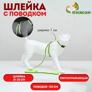 Комплект для кошек светоотражающий, ширина 1 см, шлейка 21-35 см, поводок 120 см, жёлтый 702453