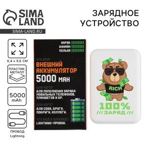 Зарядное устройство "100% заряд", 5000мА, мод. PB-02, 9,6 х 6,4 см