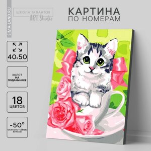 Картина по номерам на холсте с подрамником "Котёнок в чашке" 4050 см