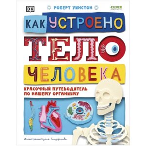 Как устроено тело человека. Красочный путеводитель по нашему организму. Уинстон Роберт