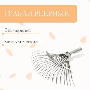 Грабли веерные пластинчатые, 20 зубцов, металлические, тулейка 25 мм, без черенка