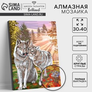 Алмазная вышивка на раме 30x40 с полным заполнением "Волки"