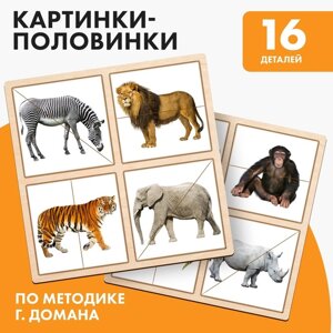 Картинки-половинки "Животные Африки"