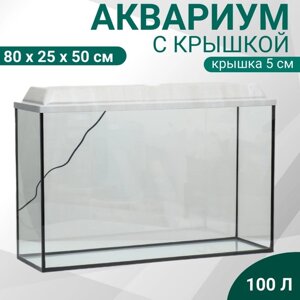 Аквариум прямоугольный Атолл с крышкой, 100 литров, 80 х 25 х 50/55 см, БЕЛЕНЫЙ ДУБ