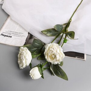 Цветы искусственные "Пион Эльза" d-10 см 64 см, белый