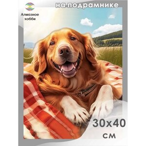 Алмазная мозаика "Собака-улыбака" 30х40, на подрамнике Ah5724