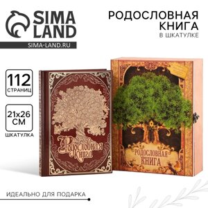 Родословная книга в шкатулке "Древо жизни", 56 листов, 20 х 26 см