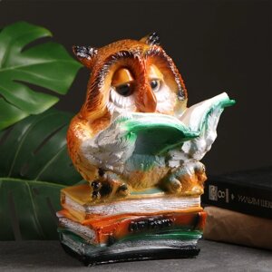 Копилка "Сова с книгами" 27см