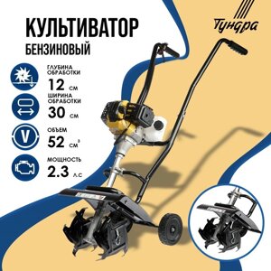 Культиватор бензиновый ТУНДРА, 2.3 л. с., 1700 Вт, 1 скорость, ширина 30 см, глубина 12 см