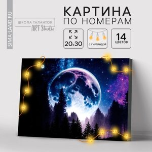 Картина по номерам с подрамником и гирляндой "Космос", 20 х 30 см