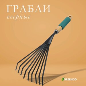 Грабли веерные, проволочные, длина 44 см, 7 зубцов, металл, рукоять дерево с поролоном