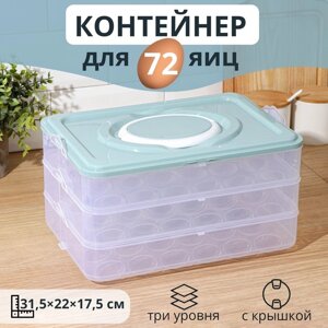 Контейнер для хранения яиц, 31,52217,5 см, цвет МИКС