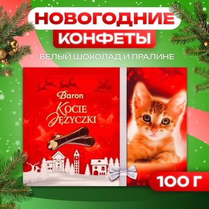 Шоколад молочный "Кошачий поцелуй" с белым шоколадом и пралине, 100 г