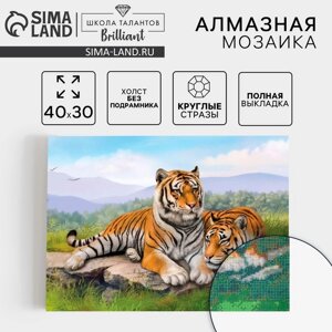 Алмазная вышивка с полным заполнением на холсте "Тигры" 30х40 см