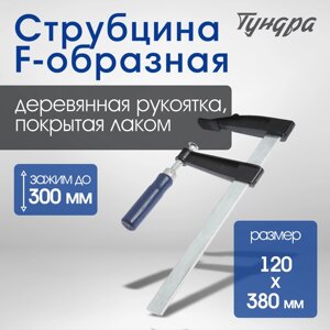 Струбцина F-образная TUNDRA, 300 х 120 х 380 мм