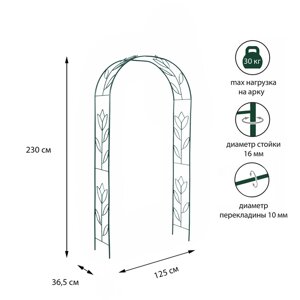 Арка садовая, разборная, 230 125 36.5 см, металл, зелёная, "Тюльпан"