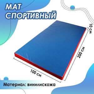 Мат 200 х 100 х 10 см, винилискожа, цвет синий/красный