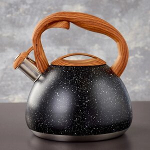 Чайник со свистком Magistro Stone, 2,7 л, ручка soft-touch, индукция, цвет чёрный