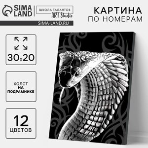 Картина по номерам на холсте с подрамником "Кобра", 30*20 см