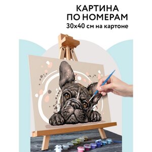 Картина по номерам на картоне 30*40 см "Французский бульдог", с акрил. кр и кистями КК_44035