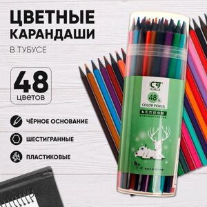 Карандаши 48 цветов в тубусе, шестигранные, пластиковые, черное основание