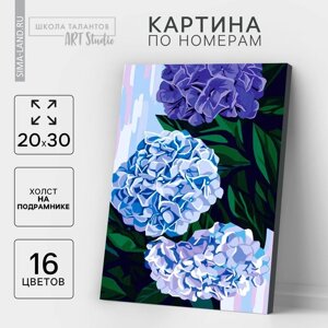 Картина по номерам на холсте с подрамником "Гортензии" 20*30 см