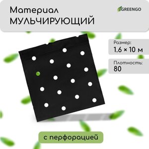 Материал мульчирующий, с перфорацией, 1,6 10 м, плотность 80, УФ-стабилизатором, чёрный, Greengo, Эконом 20%