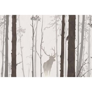 Фотообои "В лесу" M 601 (2 полотна), 200х135 см