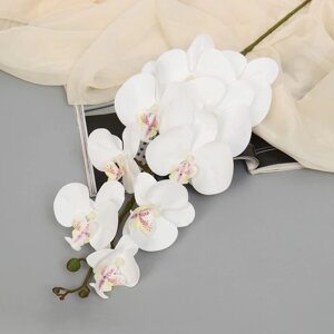 Цветы искусственные "Орхидея фаленопсис бархатистая" 10*90 см, белый