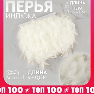 Тесьма с перьями 13-17см*50,5м индейка белый АУ