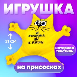 Автоигрушка на присосках "Не прижимайся, мы не знакомы", котик