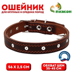 Ошейник кожаный "Строгий шип", 56 х 2.5 см, ОШ 35-45 см, коричневый