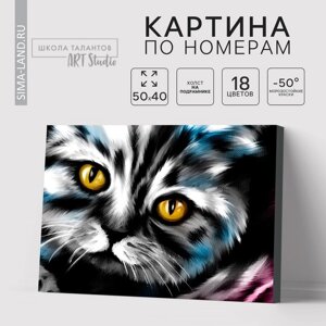 Картина по номерам на холсте с подрамником "Котик" 40х50 см