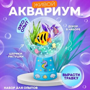 Набор для опытов "Живой аквариум-флорариум", с морскими обитателями