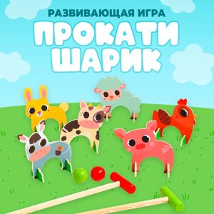 Развивающая игра "Прокати шарик", 43,5 4,5 18,5 см