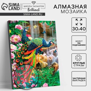 Алмазная вышивка на раме 30x40 с частичным заполнением "Павлины"