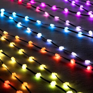 Нить ROSA SMART с насадками "Цветок", 5 м,100 LED, Н. Т. USB, пульт, приложение, RGB