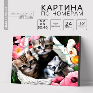 Картина по номерам на холсте с подрамником "Котята" 40х50 см