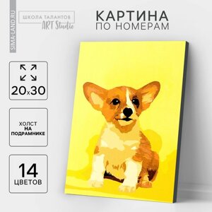 Картина по номерам на холсте с подрамником "Щенок корги", 30х20 см