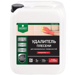 Удалитель плесени Prosept Fungi Clean Концентрат 1:1, 5л